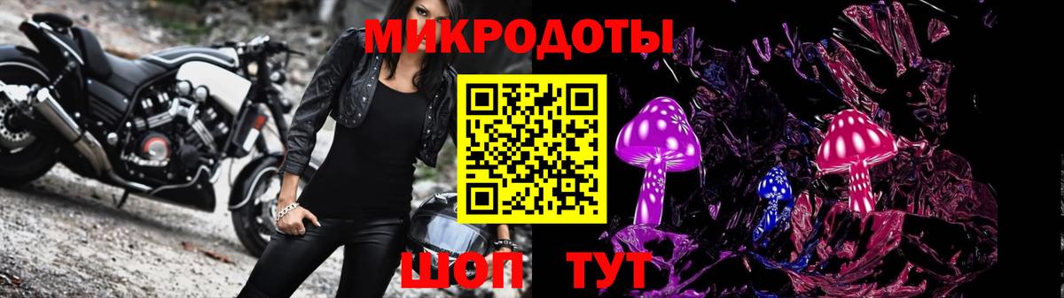 Псилоцибиновые грибы Psilocybe  Вход с VPN  Пушкино  Псилоцибиновые грибы мицелий 